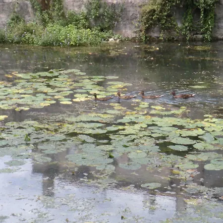 Du Marche Appartamento